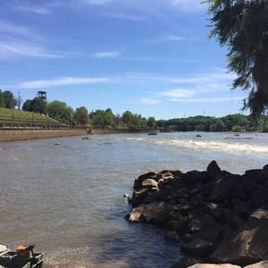 Meet your Posher, Sandy